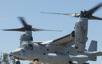31st MEU conducts quick response force rehearsal for MEUEX