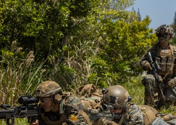 31st MEU conducts quick response force rehearsal for MEUEX