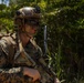 31st MEU conducts quick response force rehearsal for MEUEX