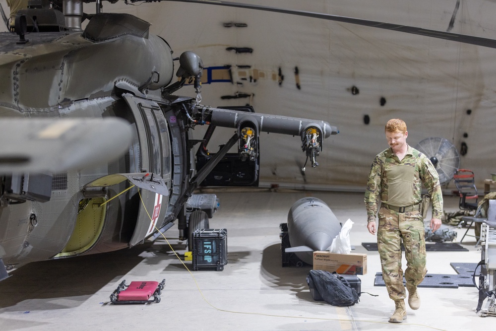 Delta Company, Task Force Cardinal Maintenance