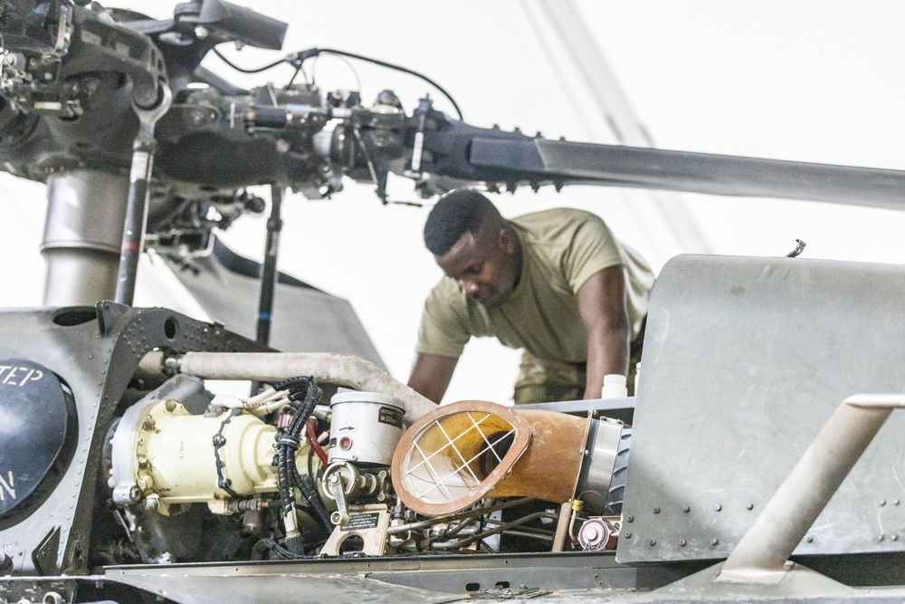 Delta Company, Task Force Cardinal Maintenance