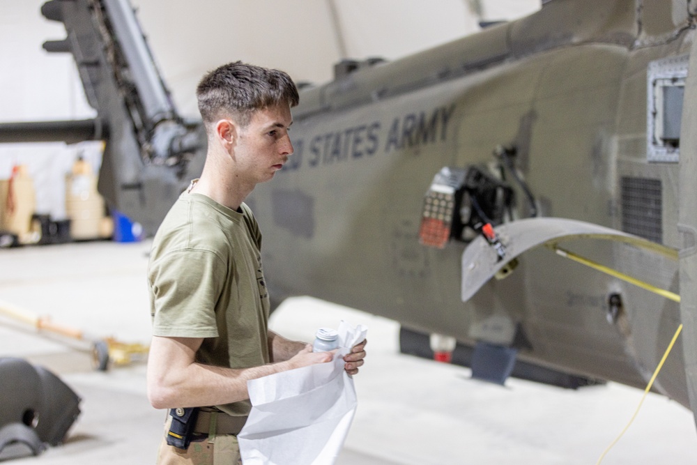 Delta Company, Task Force Cardinal Maintenance