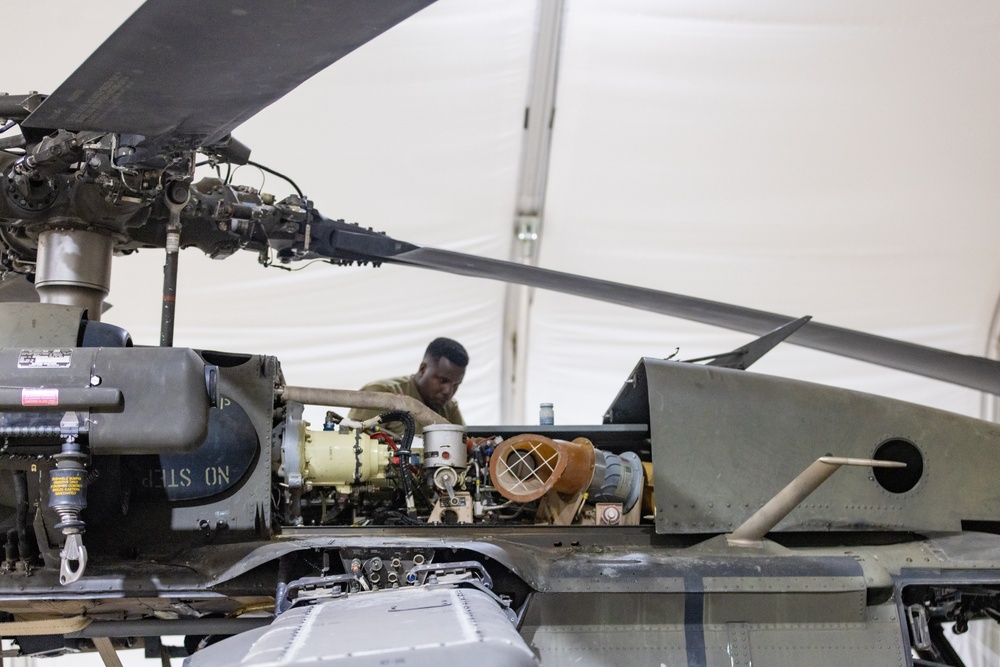 Delta Company, Task Force Cardinal Maintenance
