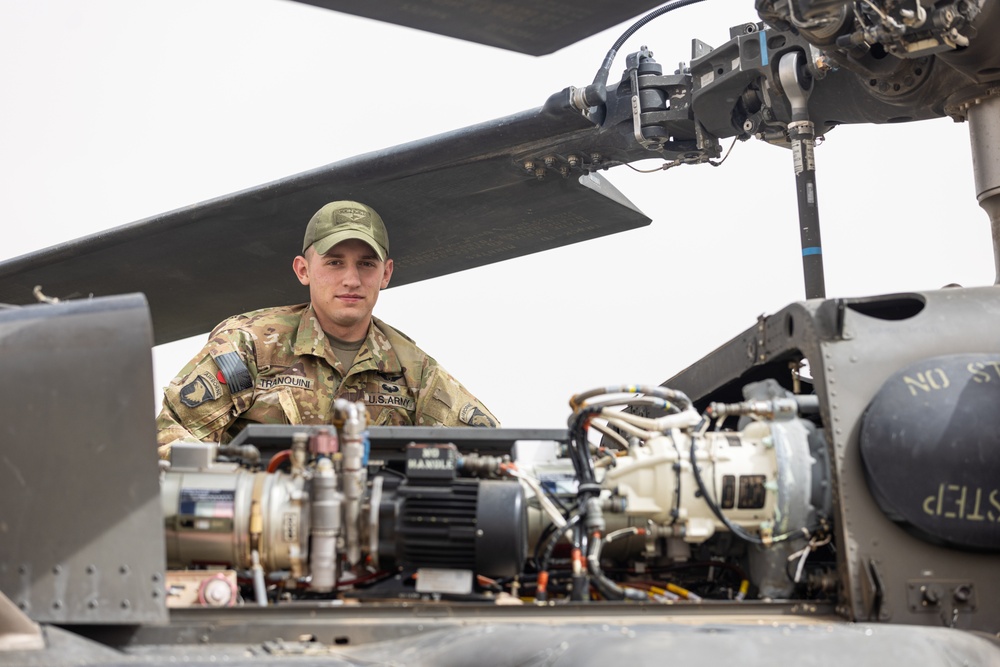 Delta Company, Task Force Cardinal Maintenance