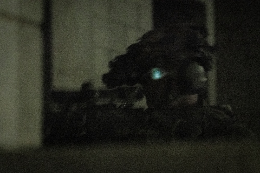 31st MEU | Night Mechanized Raid