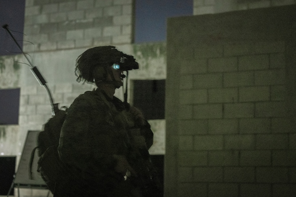 31st MEU | Night Mechanized Raid