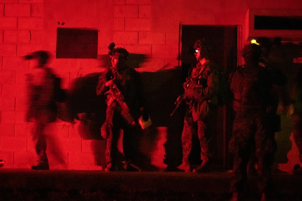 31st MEU | Night Mechanized Raid