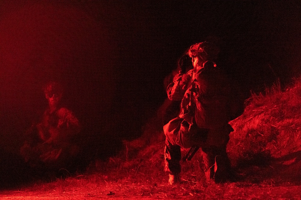 31st MEU | Night Mechanized Raid