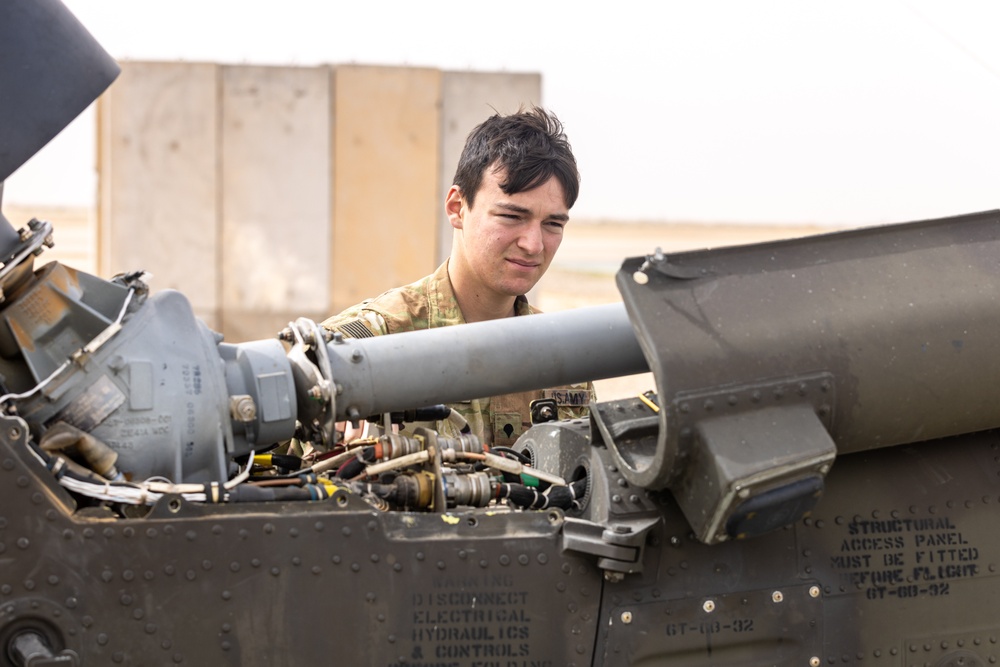 Delta Company, Task Force Cardinal Maintenance