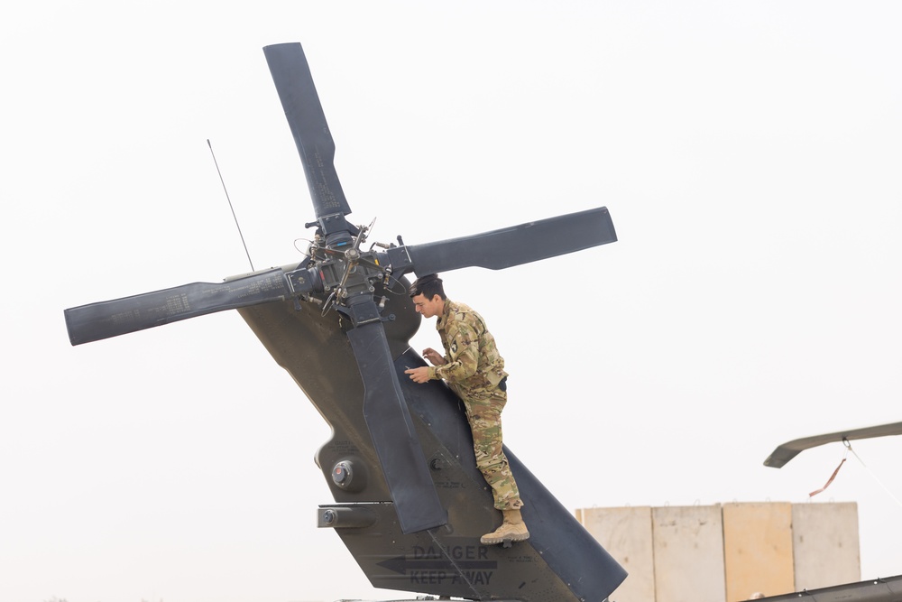 Delta Company, Task Force Cardinal Maintenance