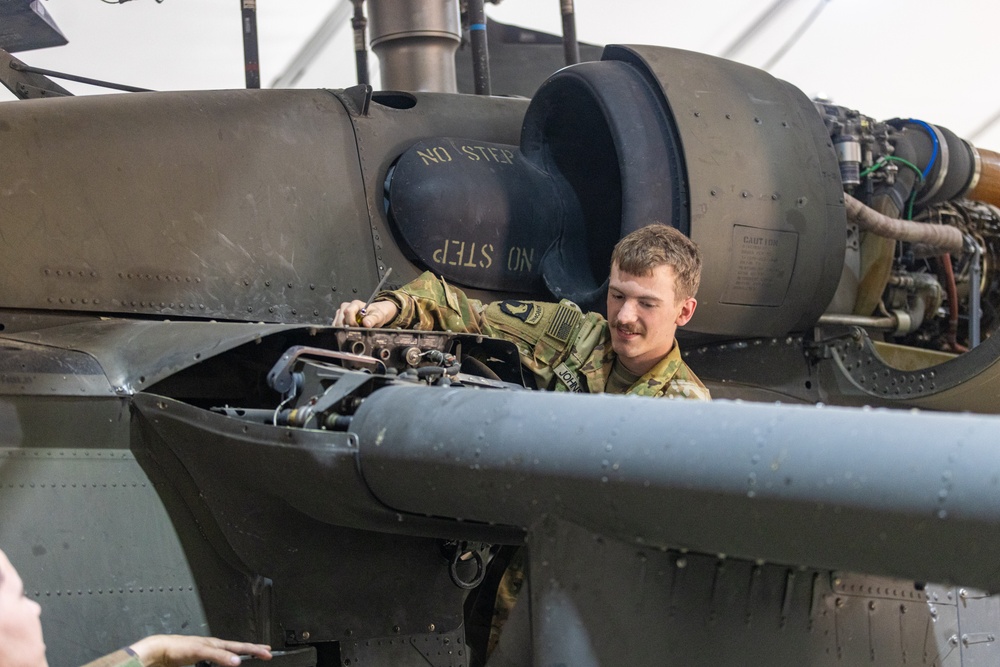 Delta Company, Task Force Cardinal Maintenance