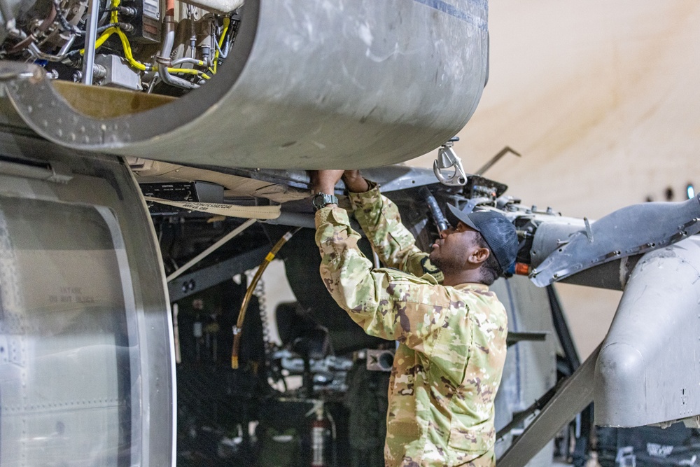Delta Company, Task Force Cardinal Maintenance