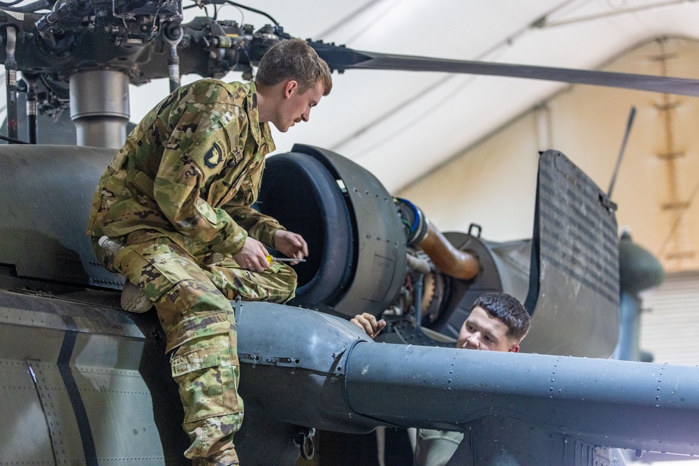 Delta Company, Task Force Cardinal Maintenance