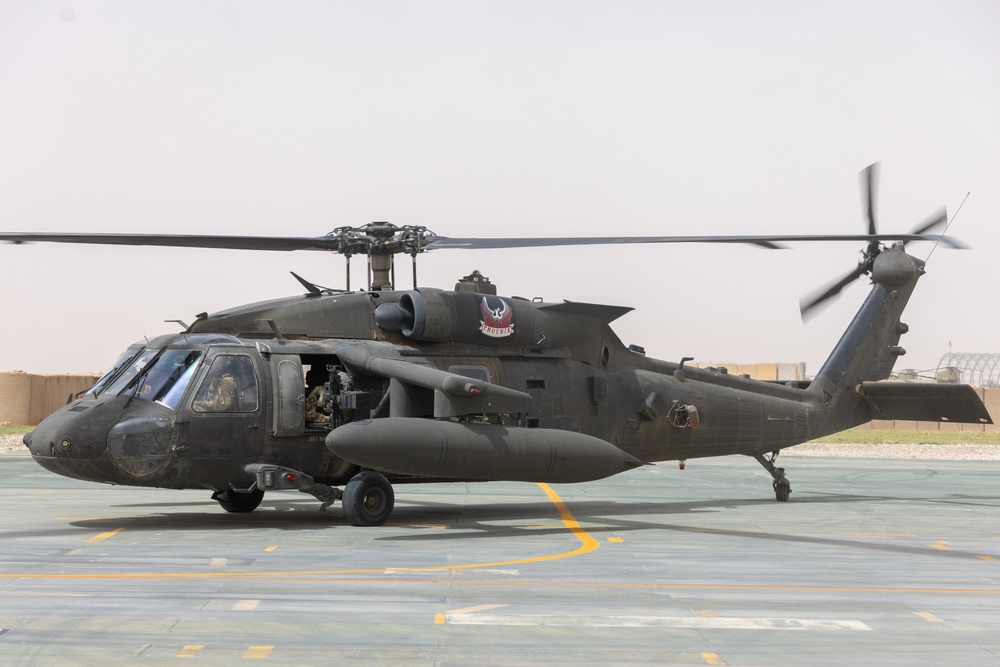 A Company &quot;Phoenix&quot;, Task Force Cardinal Flight