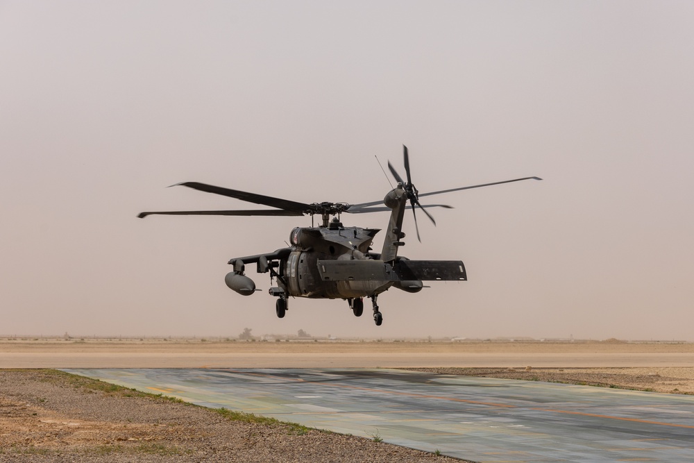 A Company &quot;Phoenix&quot;, Task Force Cardinal Flight