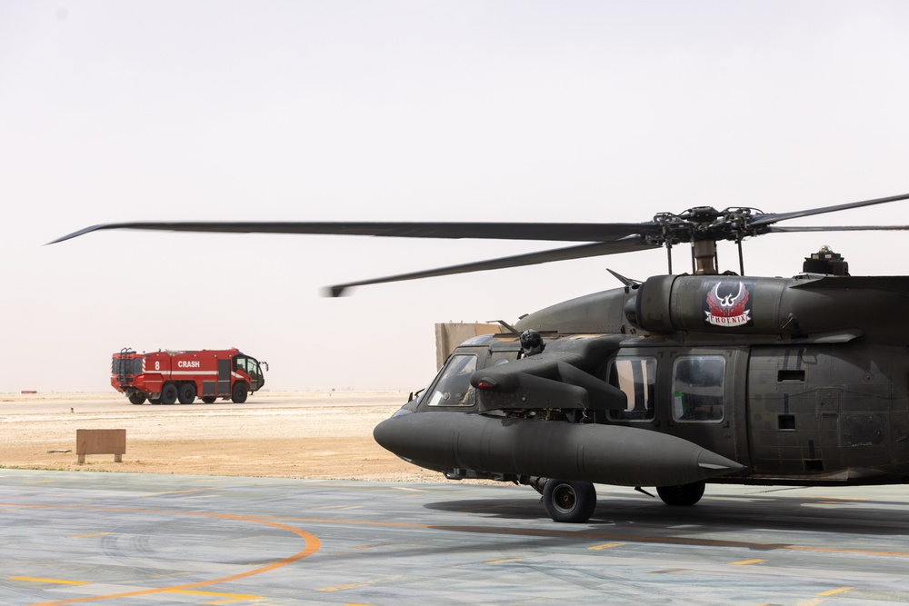 A Company &quot;Phoenix&quot;, Task Force Cardinal Flight