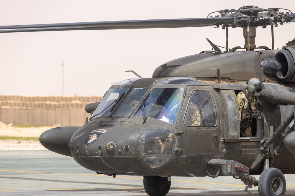 A Company &quot;Phoenix&quot;, Task Force Cardinal Flight