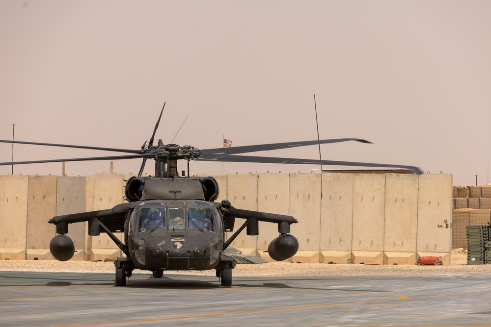 A Company &quot;Phoenix&quot;, Task Force Cardinal Flight
