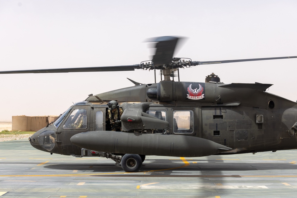 A Company &quot;Phoenix&quot;, Task Force Cardinal Flight