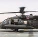 A Company &quot;Phoenix&quot;, Task Force Cardinal Flight