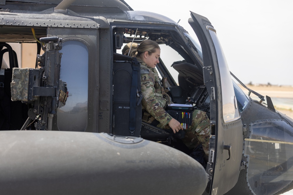 A Company &quot;Phoenix&quot;, Task Force Cardinal Flight