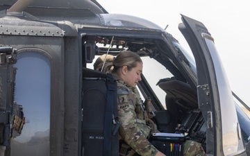 A Company &quot;Phoenix&quot;, Task Force Cardinal Flight