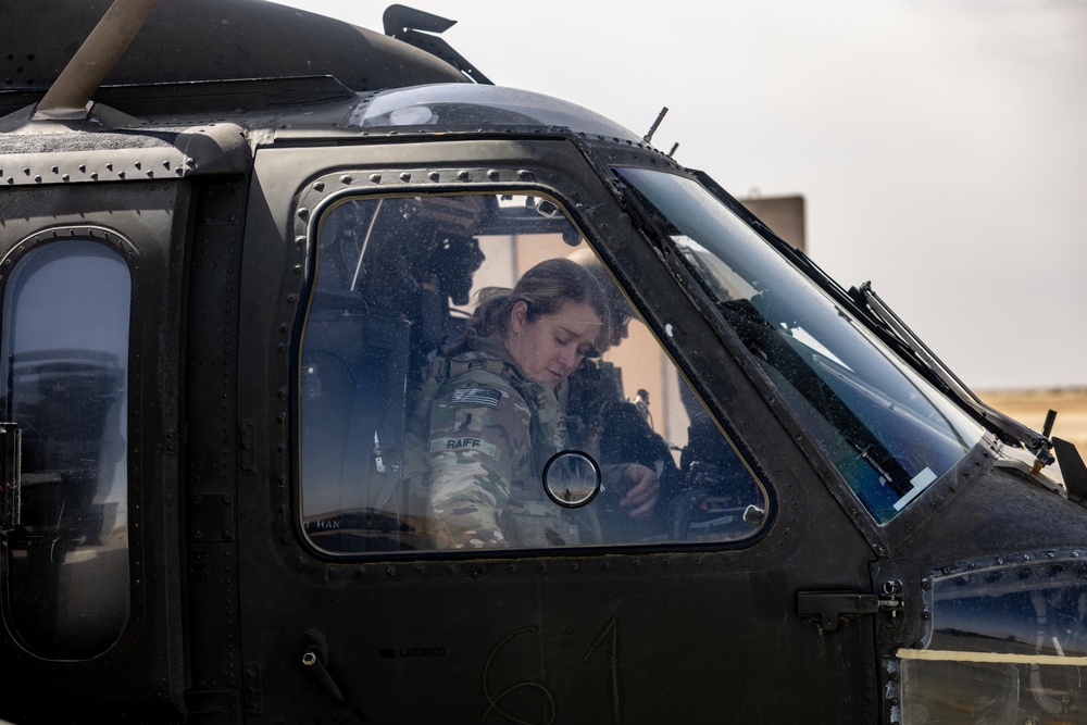 A Company &quot;Phoenix&quot;, Task Force Cardinal Flight