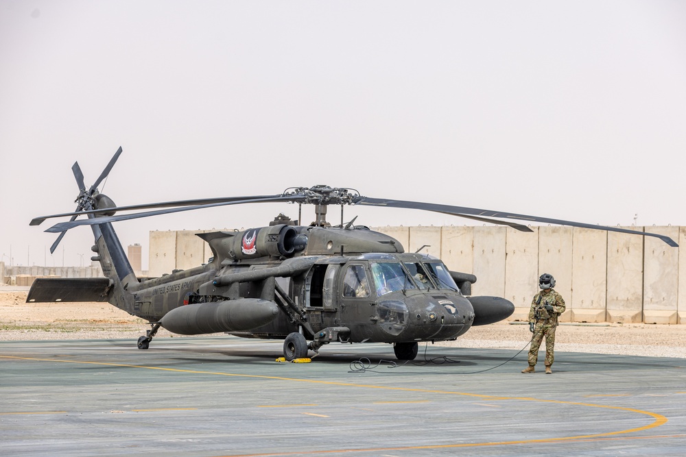 A Company &quot;Phoenix&quot;, Task Force Cardinal Flight