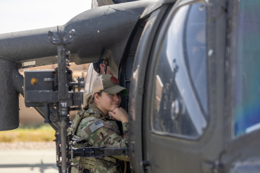 A Company &quot;Phoenix&quot;, Task Force Cardinal Flight