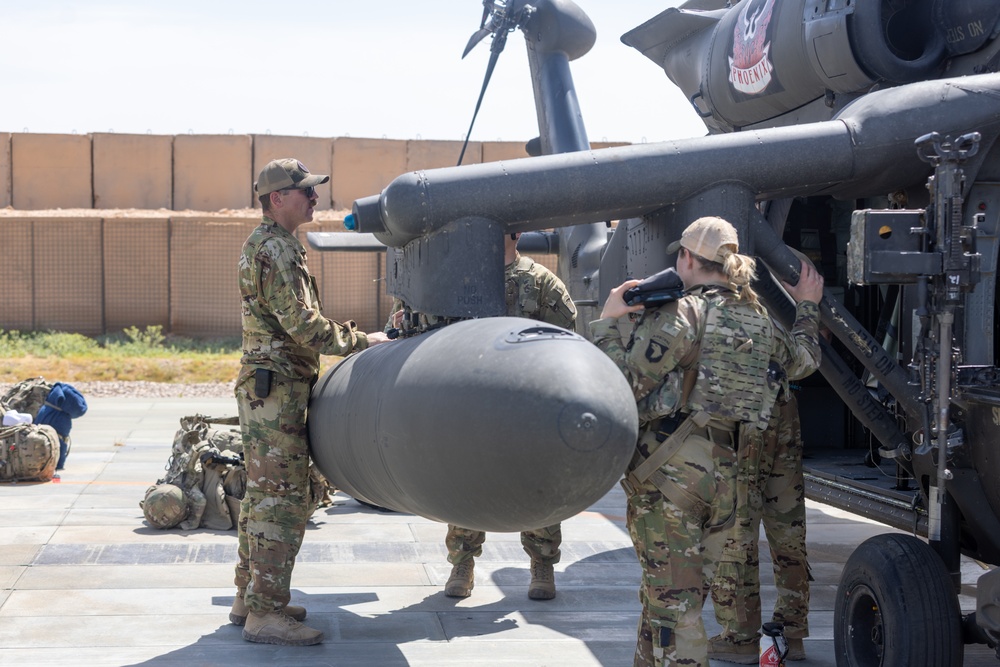 A Company &quot;Phoenix&quot;, Task Force Cardinal Flight