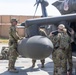 A Company &quot;Phoenix&quot;, Task Force Cardinal Flight
