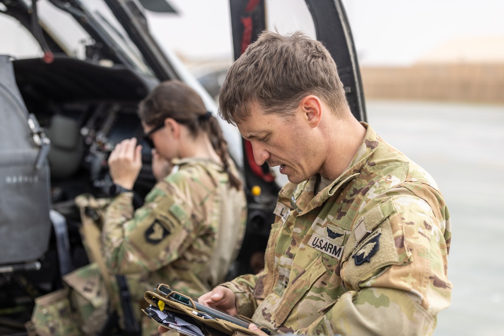 A Company &quot;Phoenix&quot;, Task Force Cardinal Flight