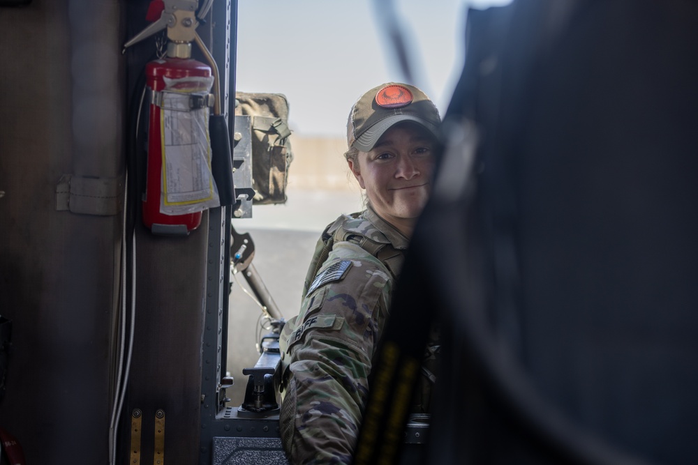 A Company &quot;Phoenix&quot;, Task Force Cardinal Flight