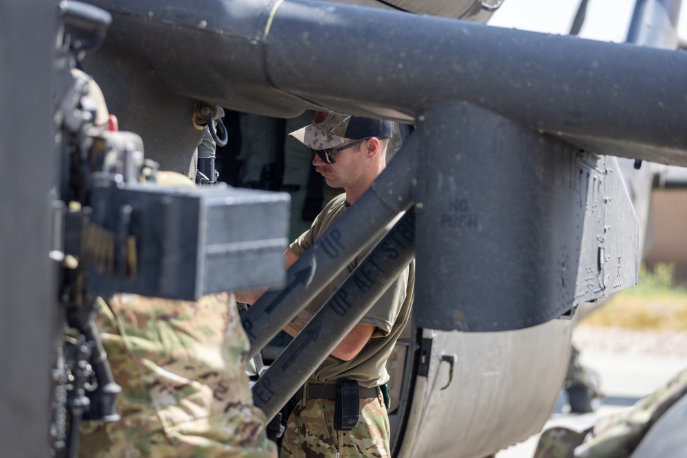 A Company &quot;Phoenix&quot;, Task Force Cardinal Flight