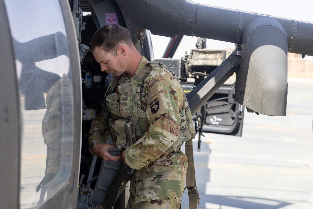 A Company &quot;Phoenix&quot;, Task Force Cardinal Flight