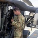 A Company &quot;Phoenix&quot;, Task Force Cardinal Flight