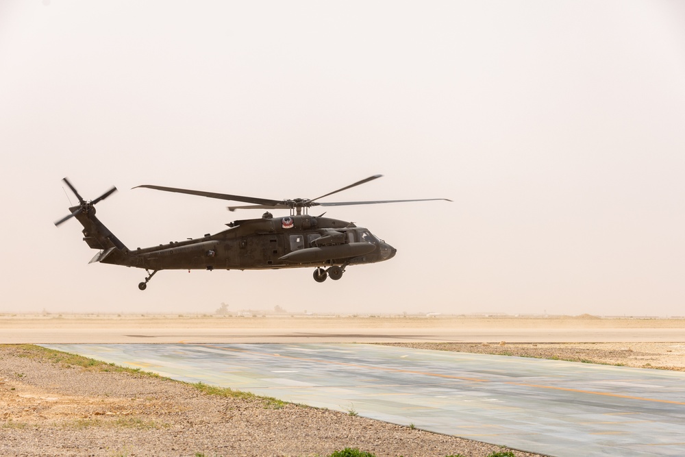 A Company &quot;Phoenix&quot;, Task Force Cardinal Flight