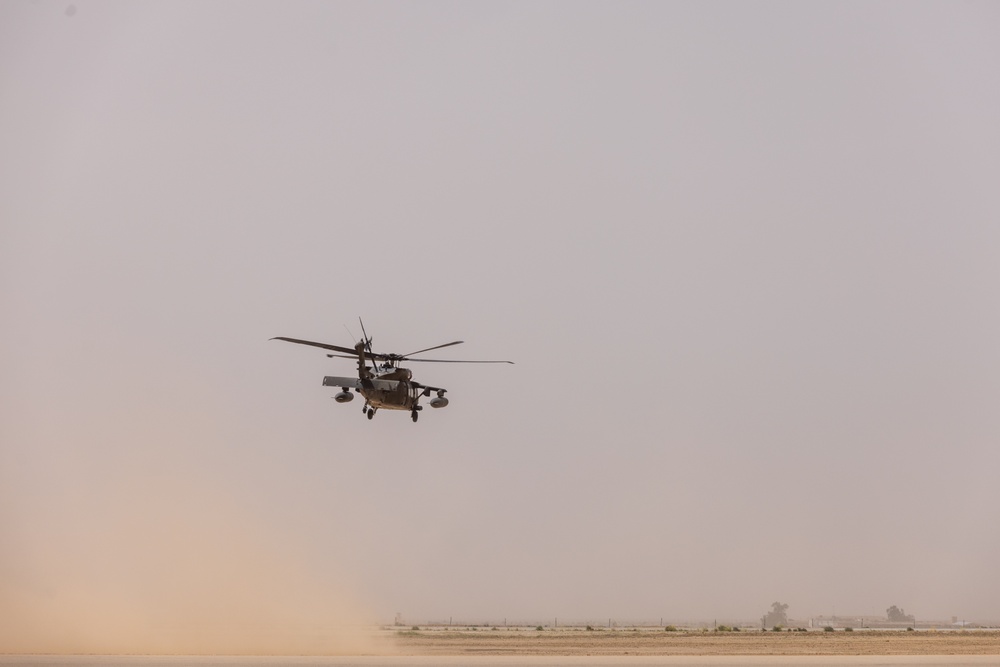 A Company &quot;Phoenix&quot;, Task Force Cardinal Flight