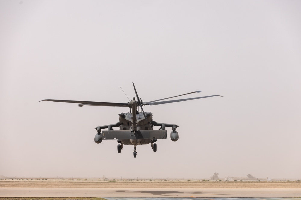 A Company &quot;Phoenix&quot;, Task Force Cardinal Flight