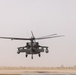 A Company &quot;Phoenix&quot;, Task Force Cardinal Flight