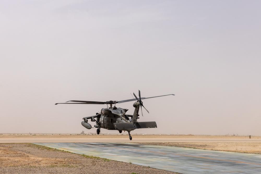 A Company &quot;Phoenix&quot;, Task Force Cardinal Flight