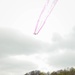 Task Force Iron celebrates Day of the Restoration of Latvian Independence with NATO Allies