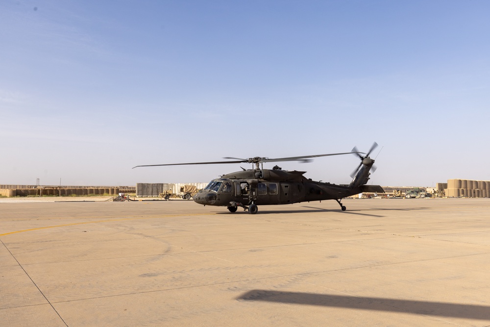 A Company &quot;Phoenix&quot;, Task Force Cardinal Flight