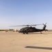 A Company &quot;Phoenix&quot;, Task Force Cardinal Flight