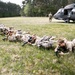 Arkansas Best Warrior Competition 2025