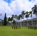 3MDTF Activates Two New Companies, Cases Colors of CEMA