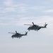 Family Day 25: Marine Corps Air Station Iwakuni