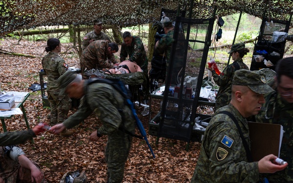 US, Partner nations strengthen ties during multilateral medical event