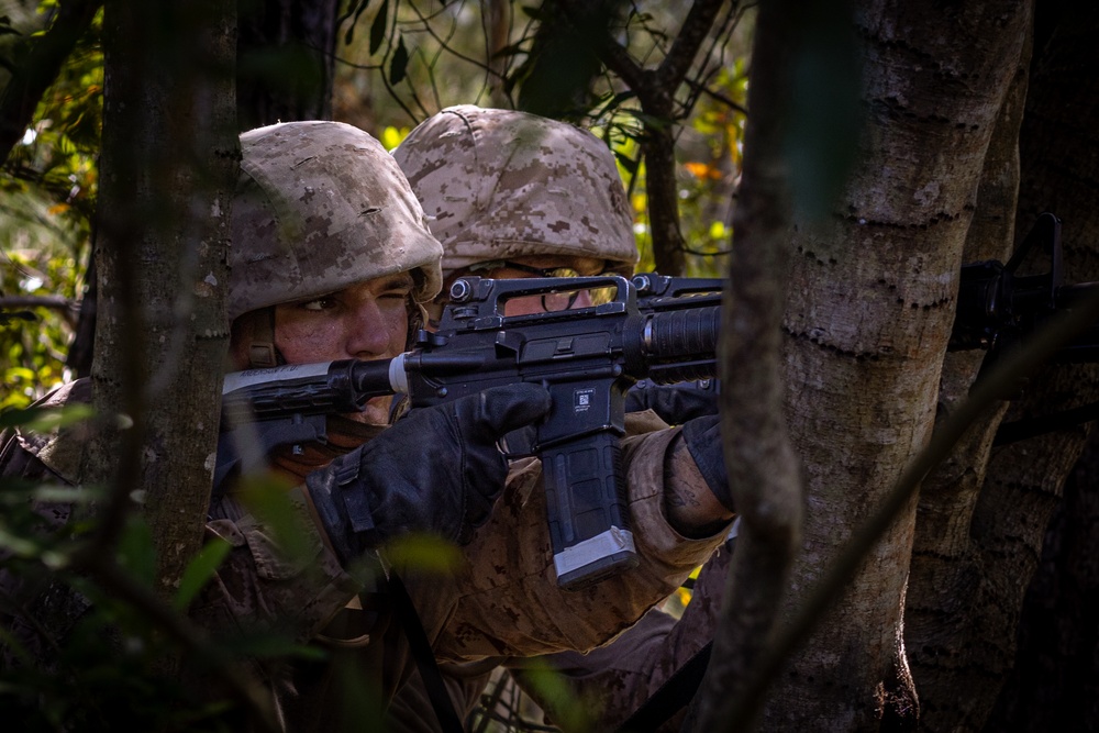 Delta Company Crucible