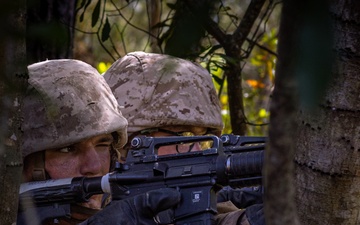 Delta Company Crucible